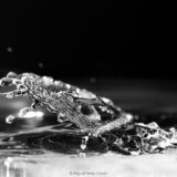 Gota-Agua